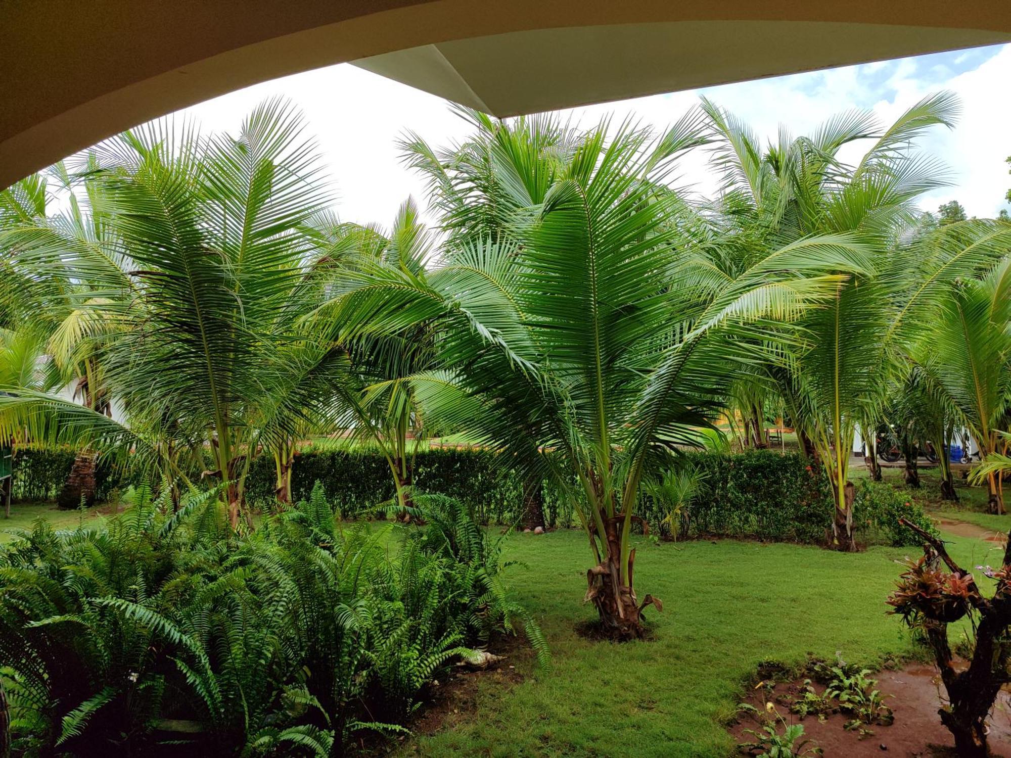E&N Paradise Island Resort Siquijor Exterior foto