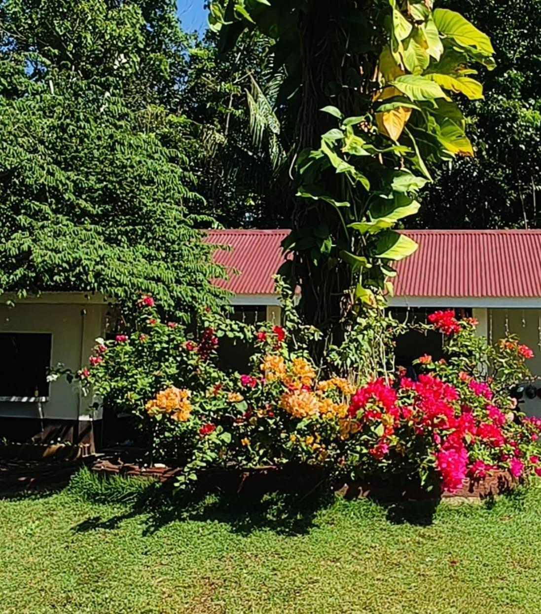 E&N Paradise Island Resort Siquijor Exterior foto