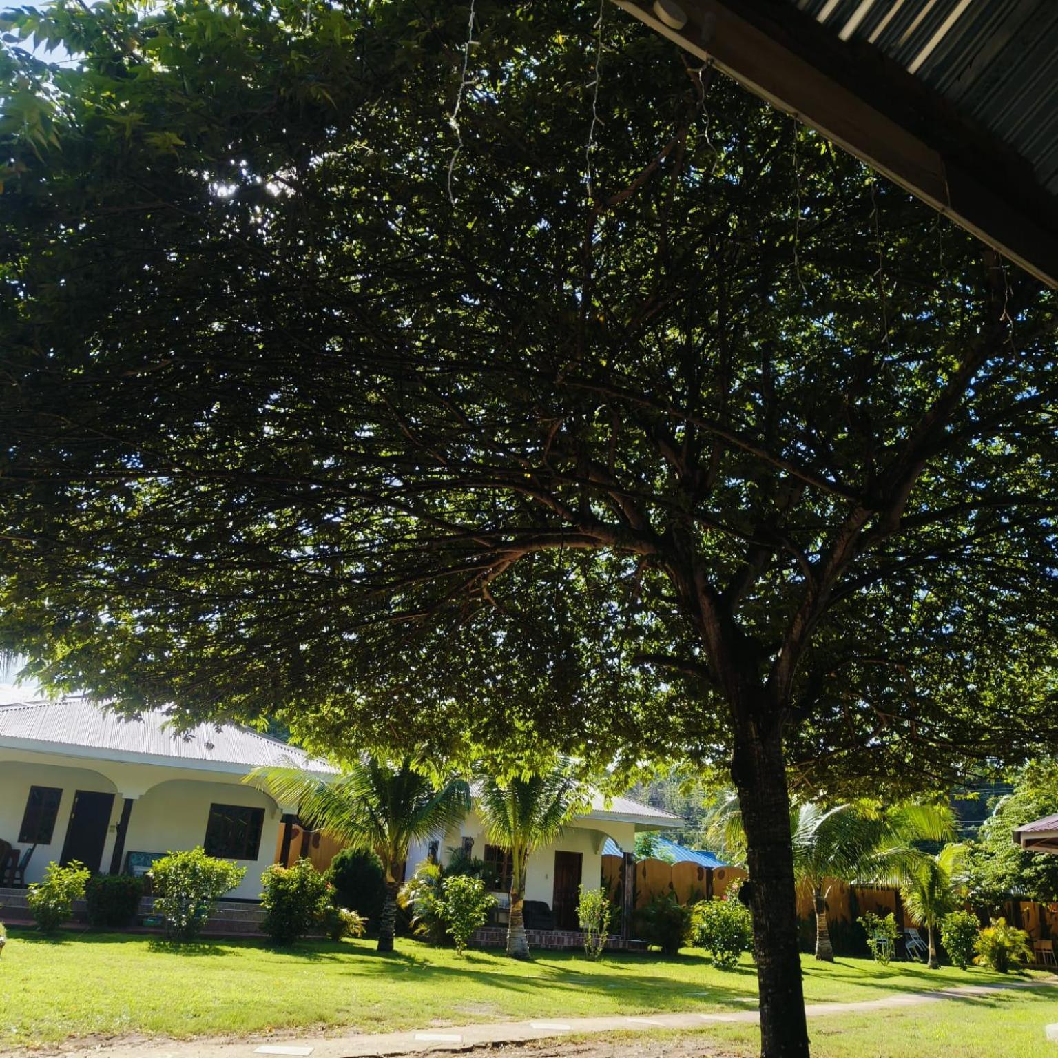 E&N Paradise Island Resort Siquijor Exterior foto